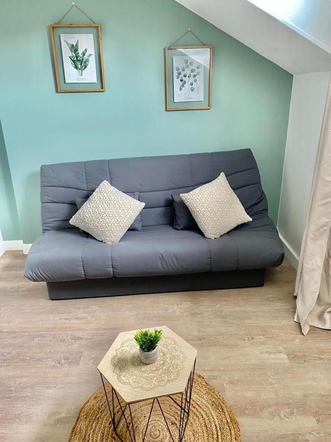 Studios Charmants Cosy A 5 Minutes Du Centre-Ville Bourges Luaran gambar